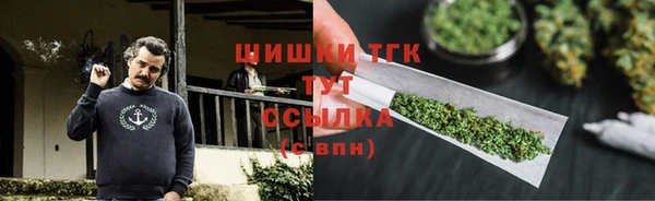 прущий лед Каменка